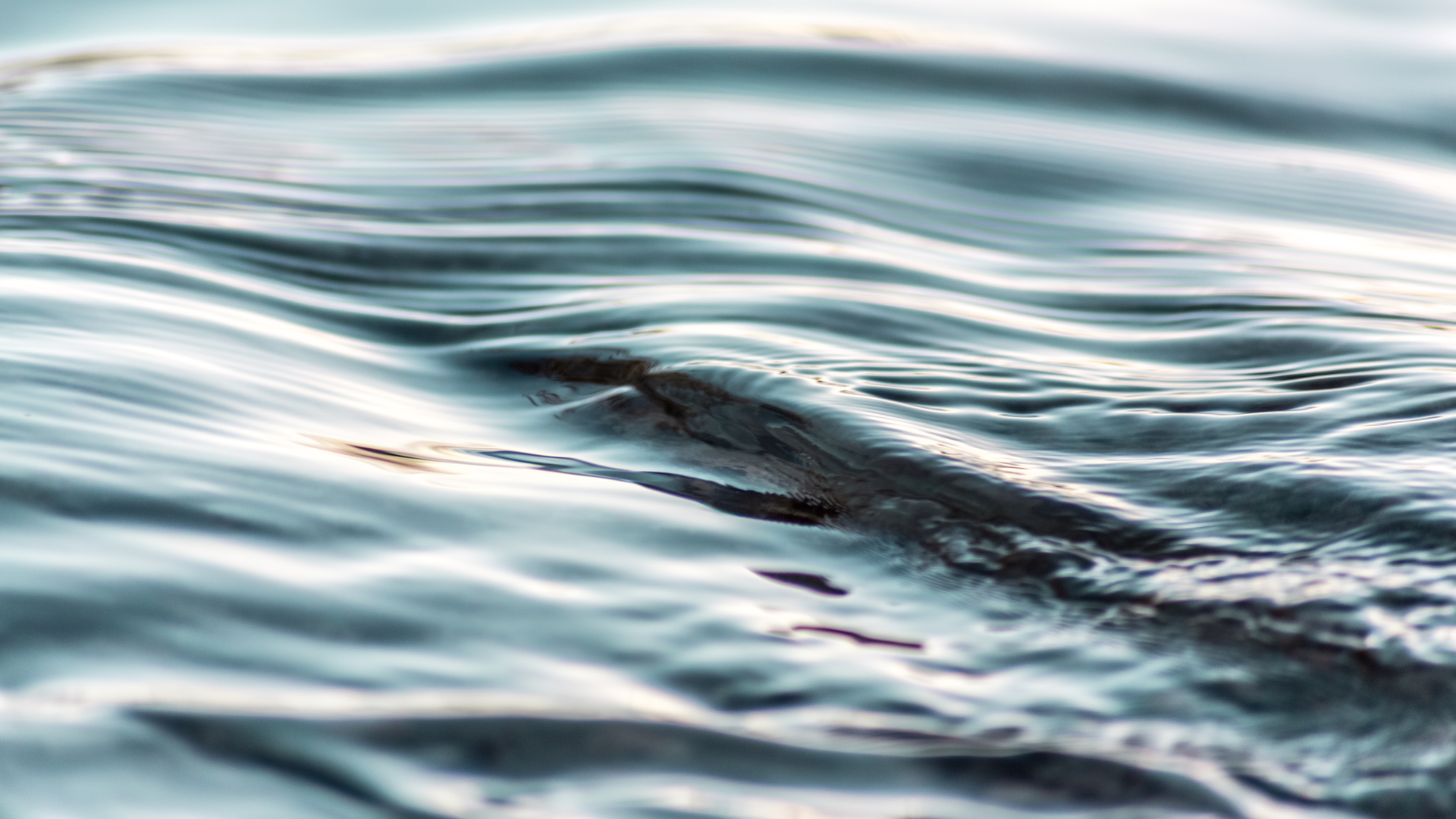 Dreamstime Xxl 46126877 63cac1ce1c37c