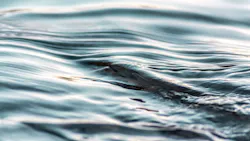 Dreamstime Xxl 46126877 63cac1ce1c37c Dreamstime Xxl 46126877 63cac1ce1c37c