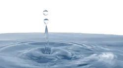 Dreamstime Xxl 8367378 63fe661e6e77c Dreamstime Xxl 8367378 63fe661e6e77c