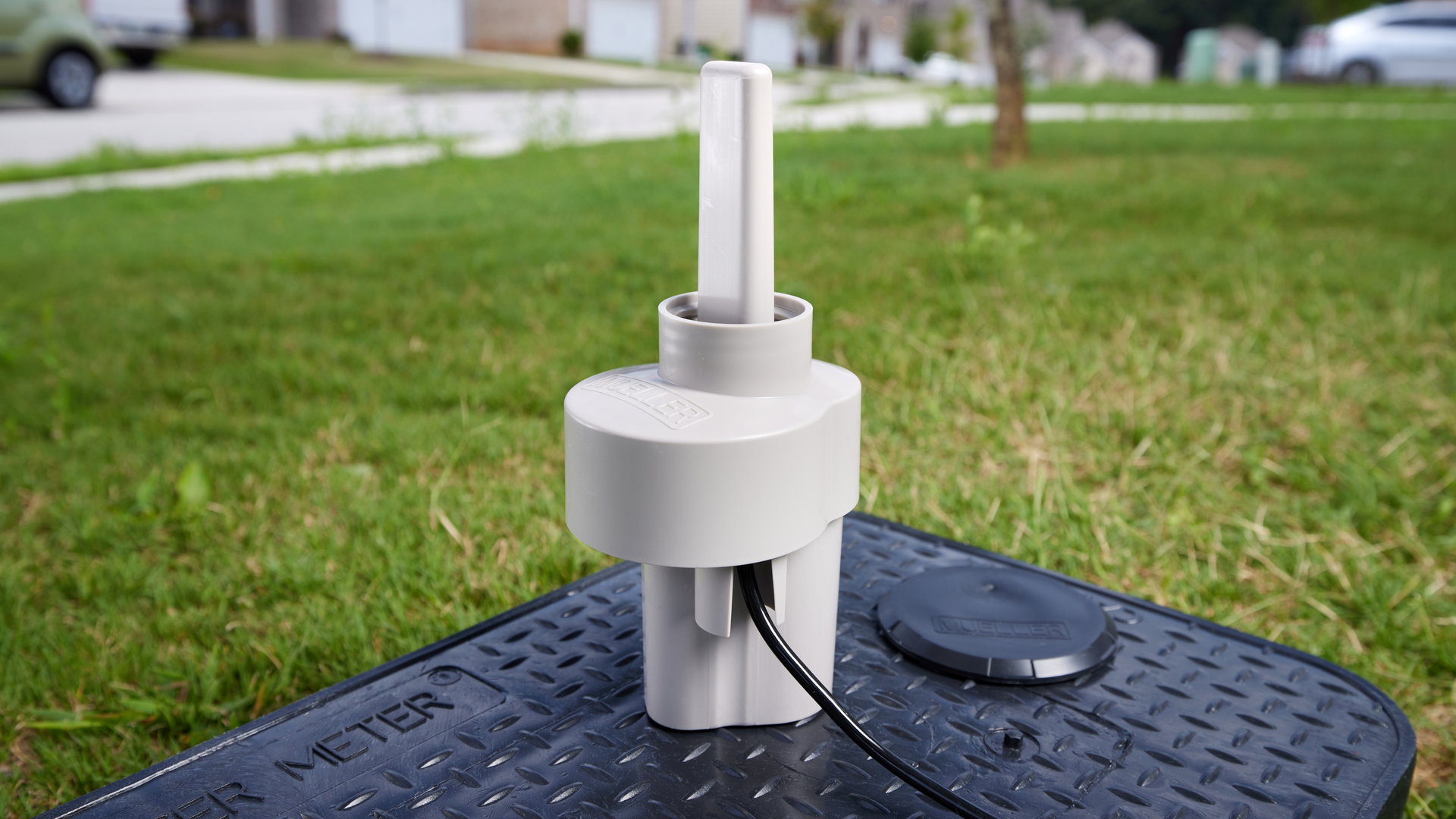 2 Mueller 647f8d9e5bcb0