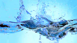 Dreamstime Xxl 1009888 649c42f07c2eb Dreamstime Xxl 1009888 649c42f07c2eb