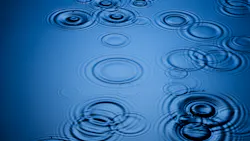 Dreamstime Xxl 6515129 2 647f5b669b8f4 Dreamstime Xxl 6515129 2 647f5b669b8f4