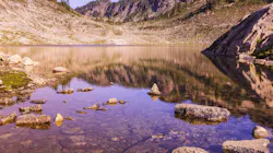 Dreamstime Xxl 44948764 64a825fc20406 Dreamstime Xxl 44948764 64a825fc20406