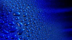 Dreamstime Xxl 19066312 (1) Dreamstime Xxl 19066312 (1)