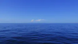 Dreamstime Xxl 21051337 64e8d518b7603 Dreamstime Xxl 21051337 64e8d518b7603