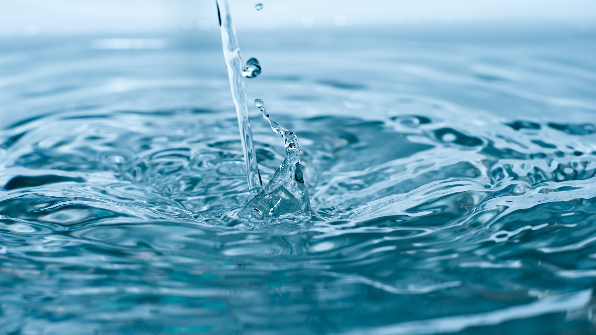 Dreamstime Xxl 25959042 64db8ee8ccadb