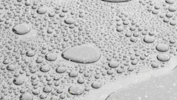 Dreamstime Xxl 85935809 1 64efbcc07e784 Dreamstime Xxl 85935809 1 64efbcc07e784