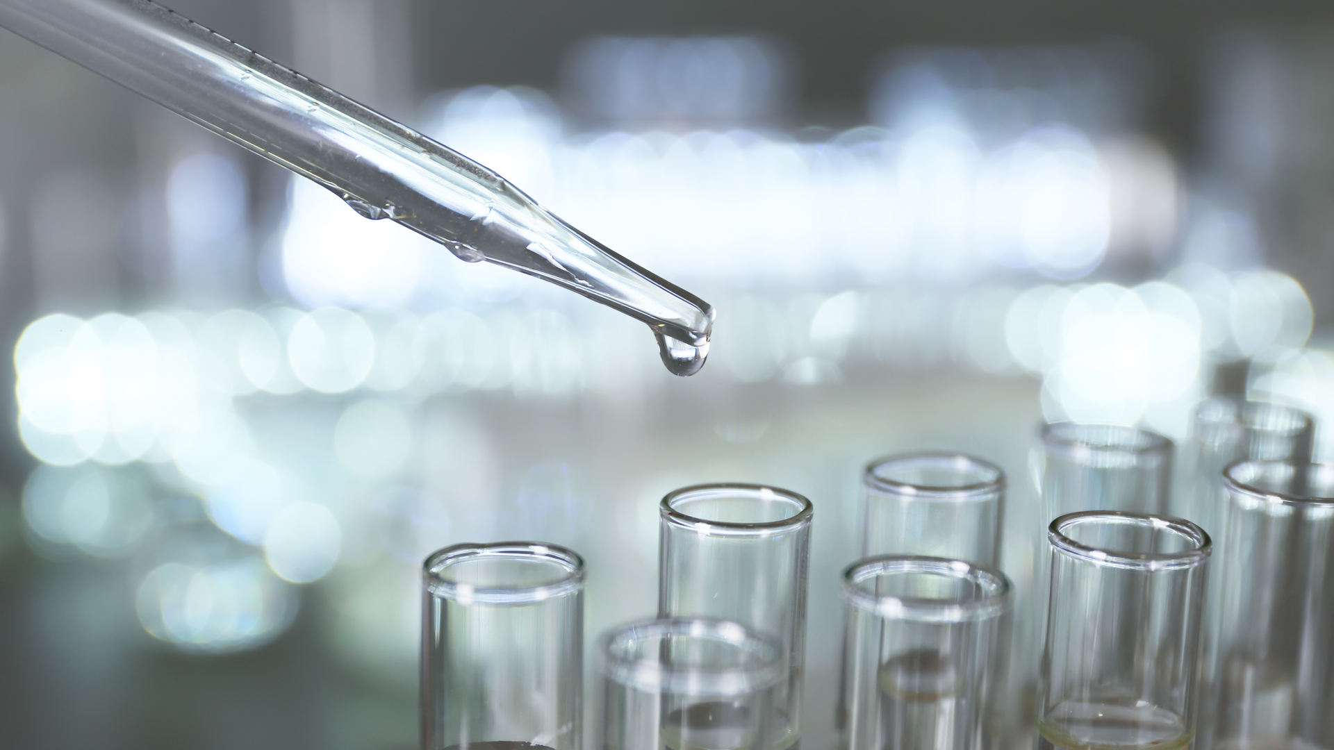 Dreamstime Xxl 150032535 650b0e6a296a3