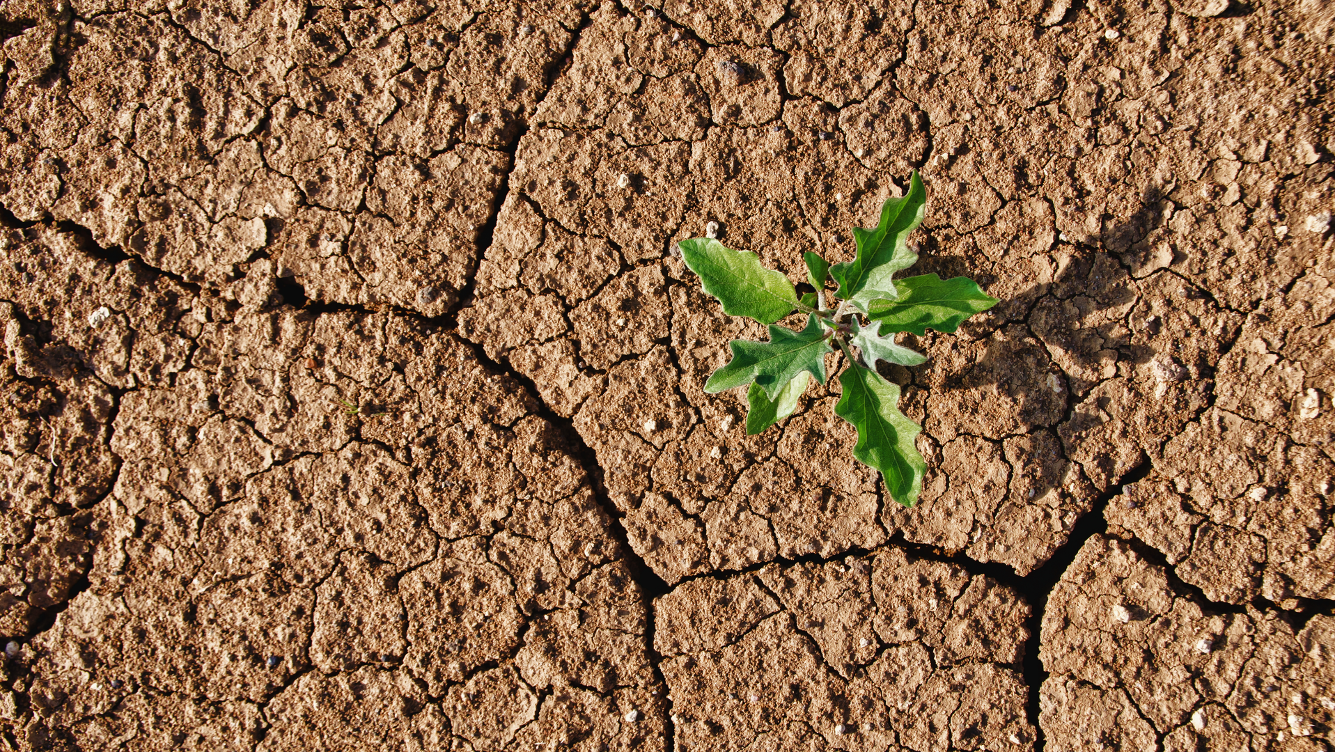 Dreamstime Xxl 26765322 6504613606661