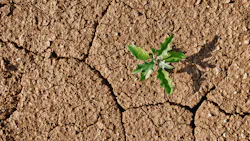 Dreamstime Xxl 26765322 6504613606661 Dreamstime Xxl 26765322 6504613606661