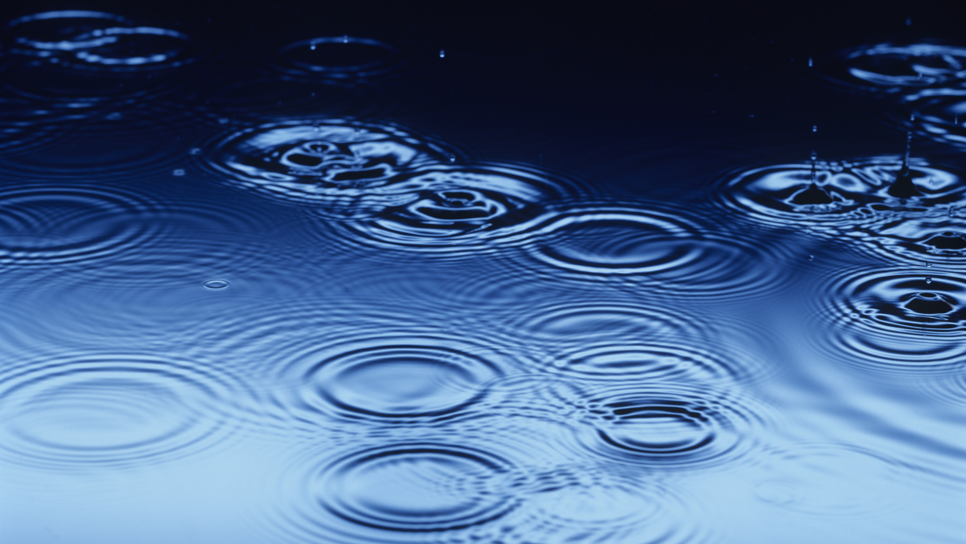 Dreamstime Xxl 30845298 1 65008d27df59f