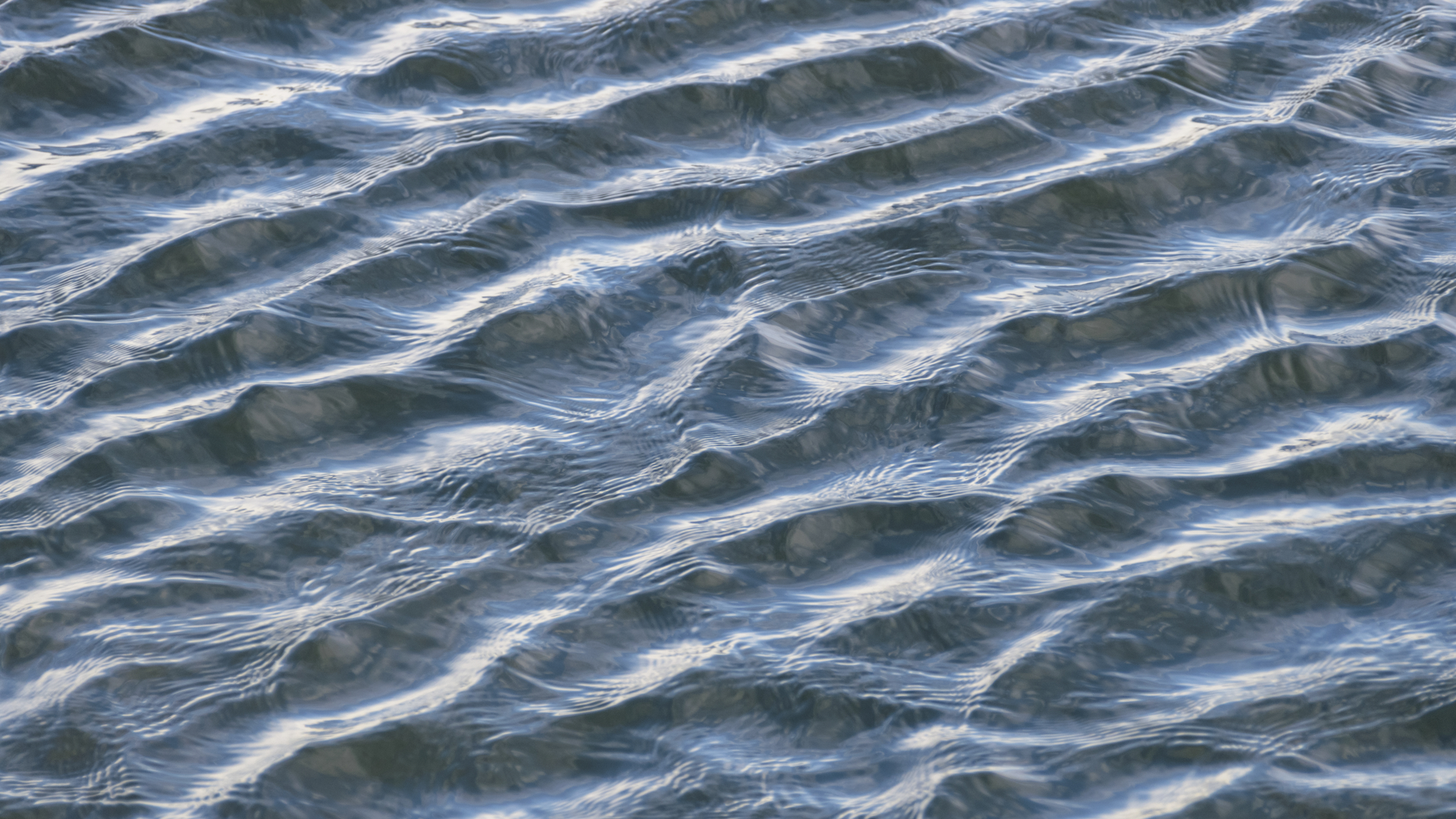 Dreamstime Xl 86157919 65206a5cbdd79