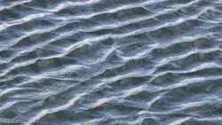 Dreamstime Xl 86157919 65206a5cbdd79 Dreamstime Xl 86157919 65206a5cbdd79