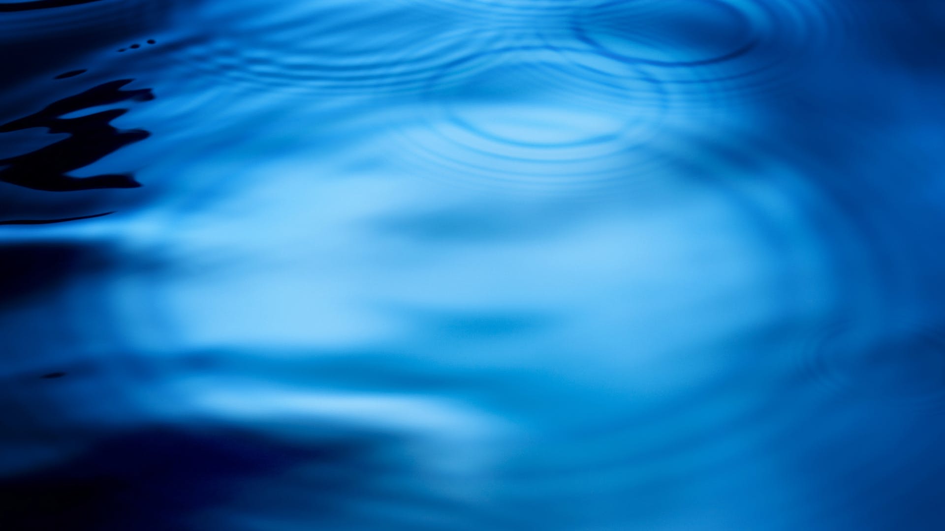 654a5270f976bd001e816076 Untitled 16