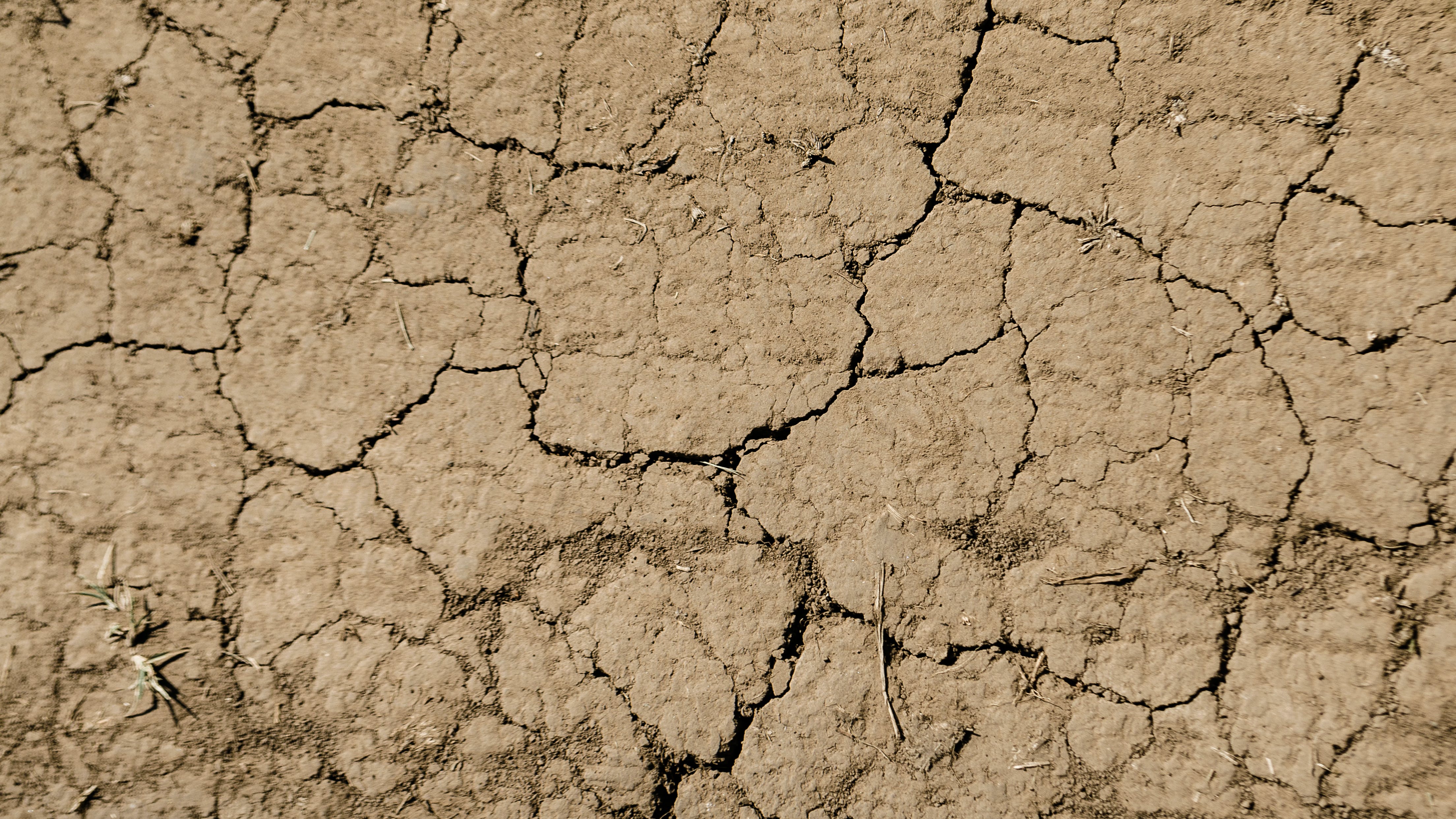 655cc6dedfe9da001fb7a6a9 Dreamstime Xxl 150562025