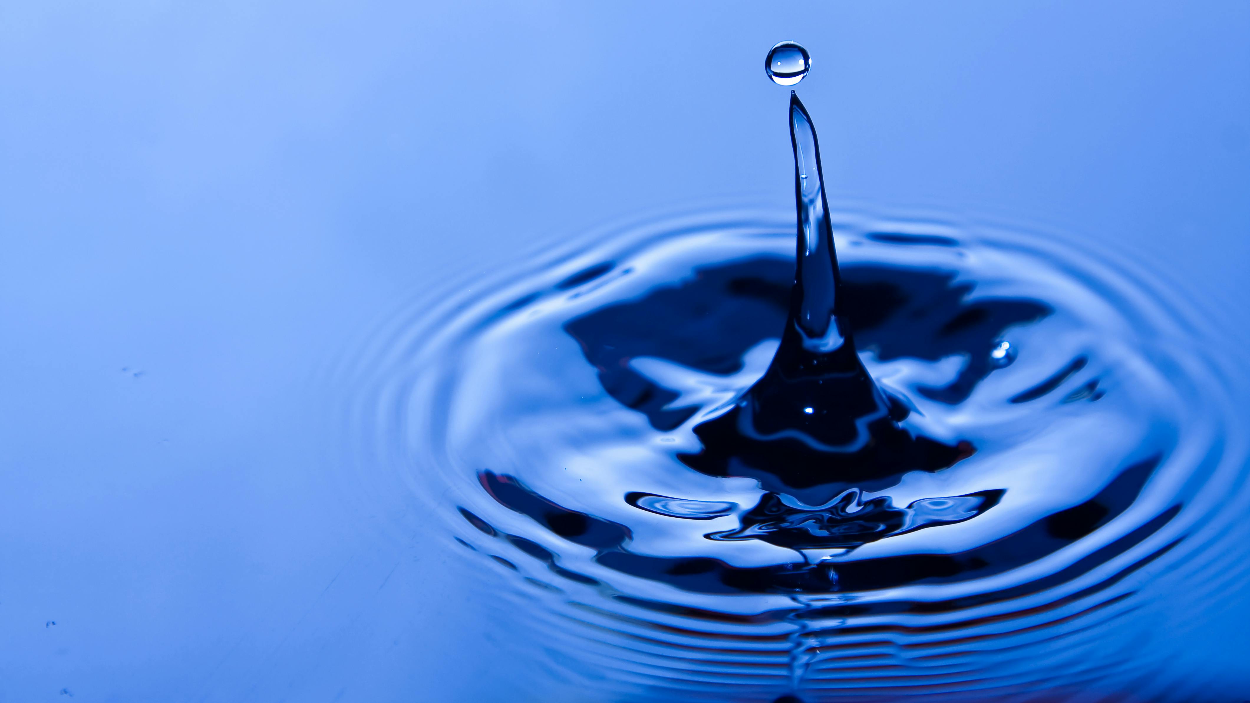 65b29227bb57cd001e8fd16c Dreamstime Xxl 11871242