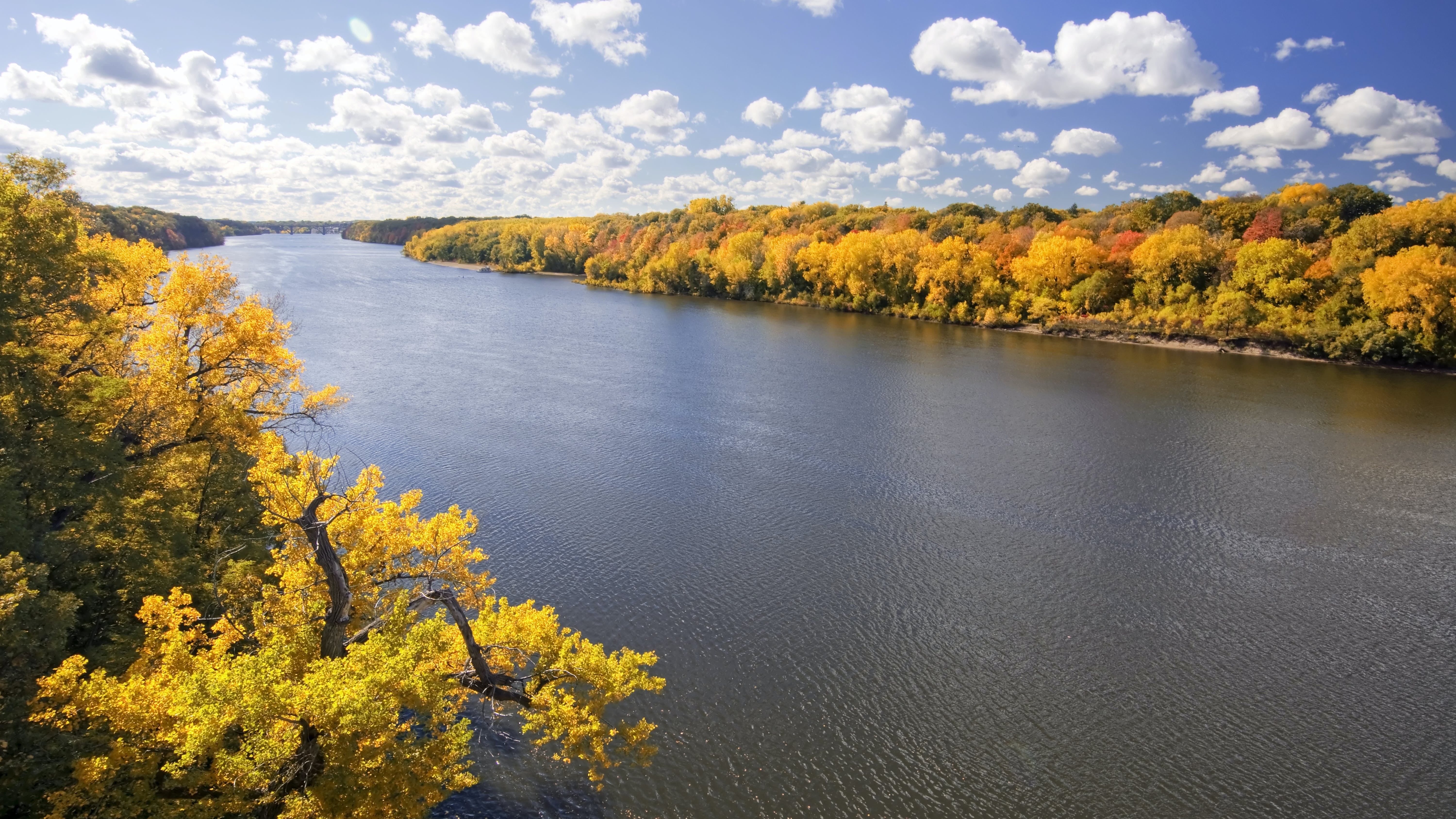 65c0fc3be94500001ebe8b8e Dreamstime Xxl 39341176