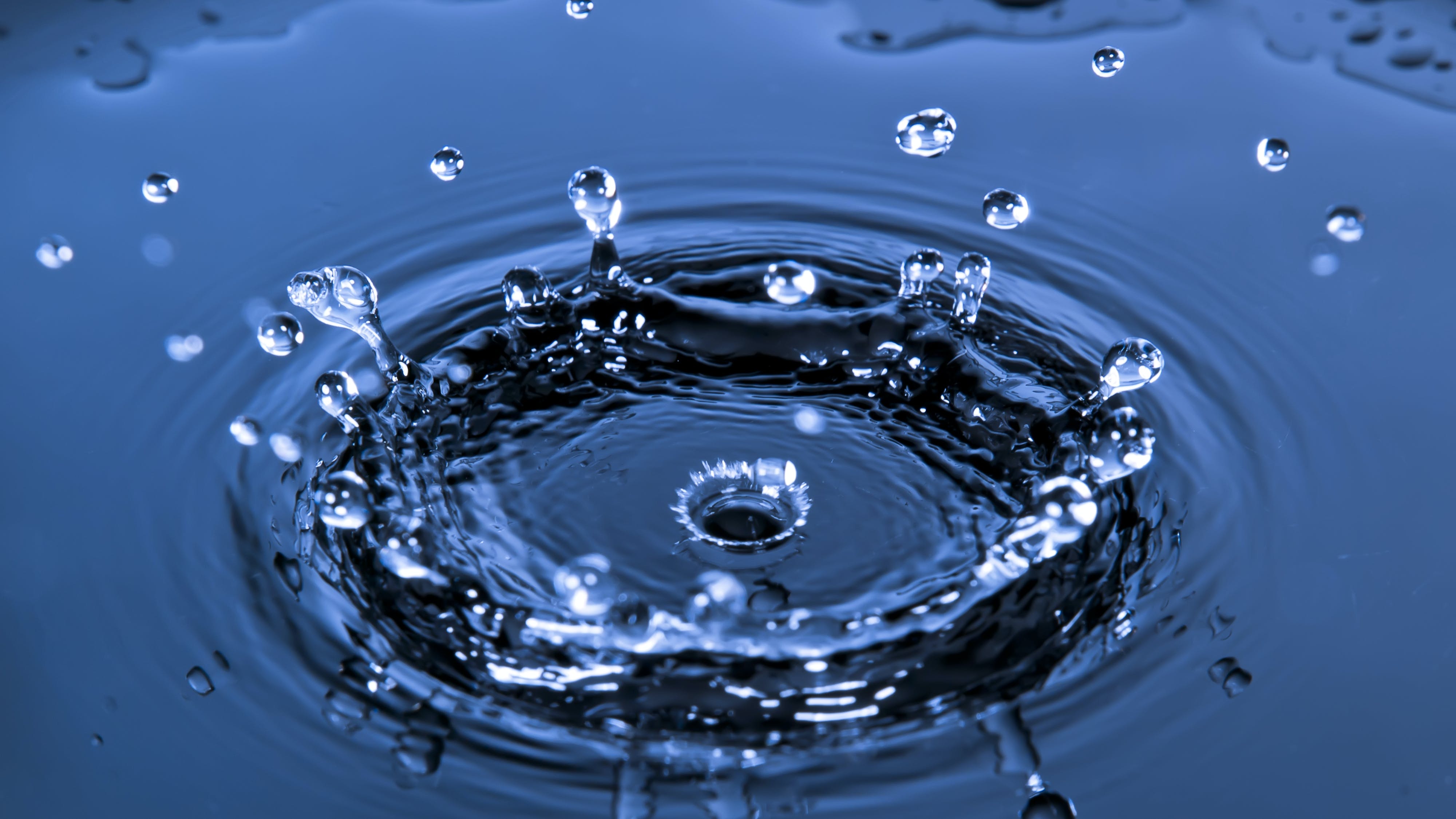 dreamstime_xxl_14698311