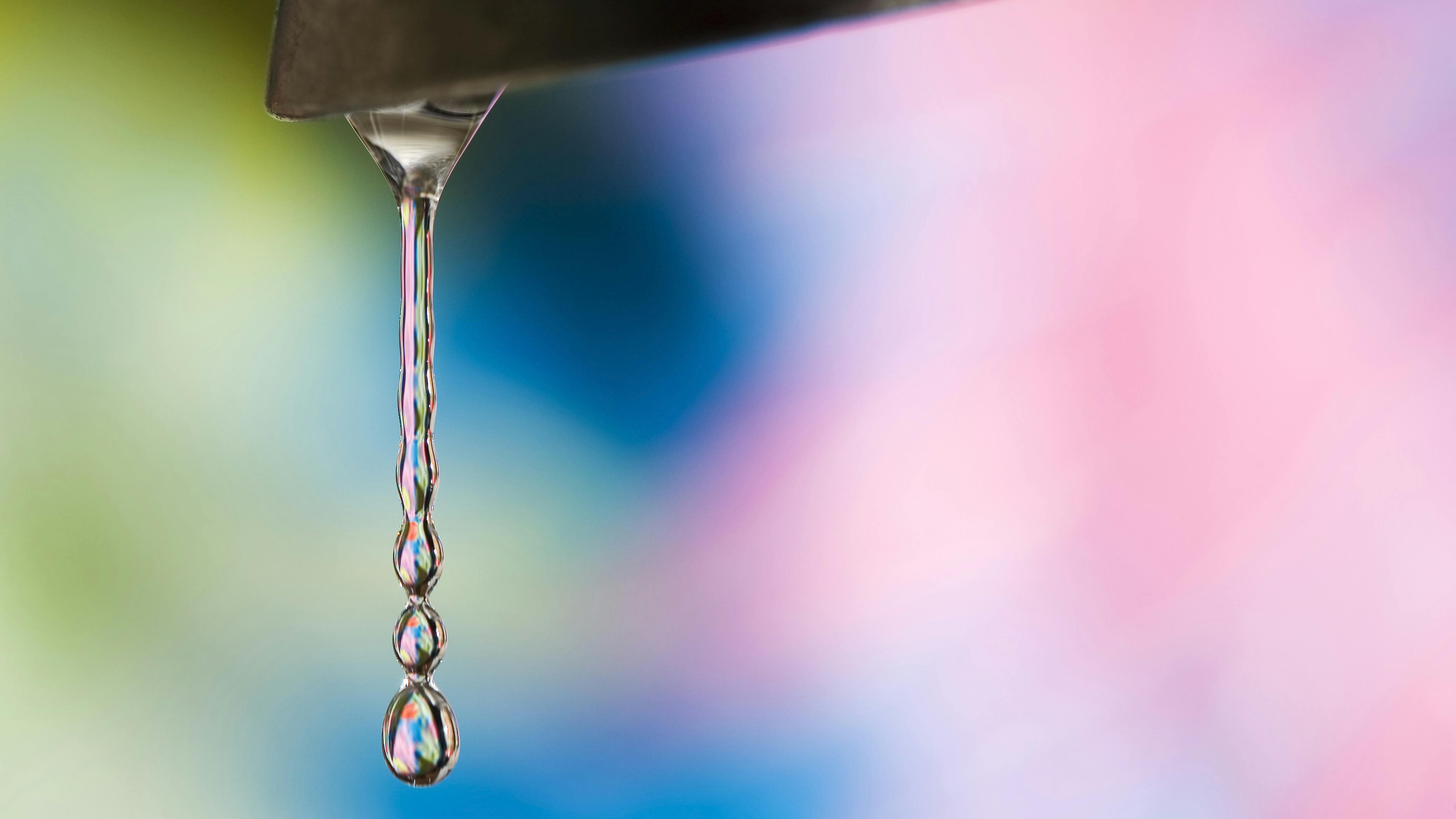 65cb83771816f3001e49faef Dreamstime Xxl 18613469