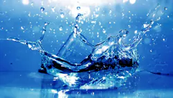 65d8b98df2c975001e12302c Dreamstime Xxl 1844088 2 65d8b98df2c975001e12302c Dreamstime Xxl 1844088 2