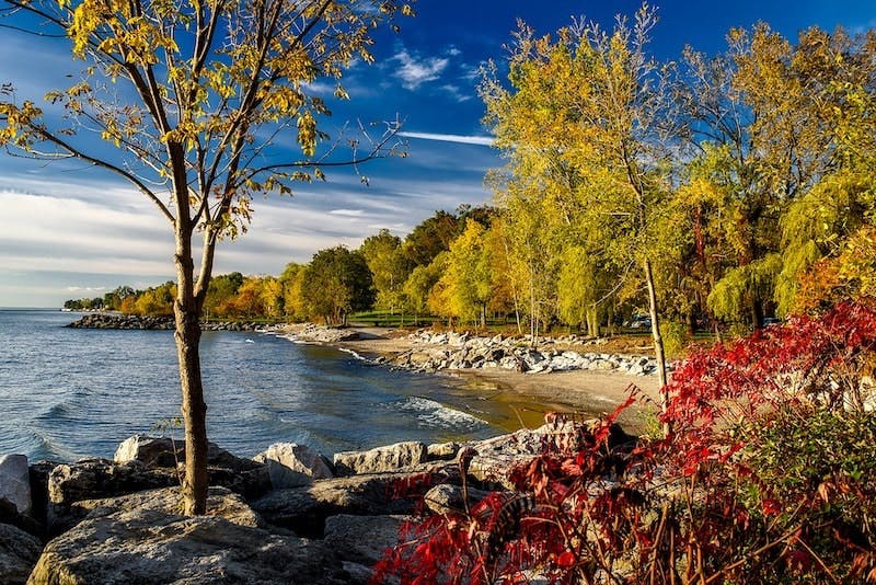 65e72563a9f492001e1bdf50 Ontario Water