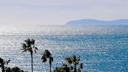 65e725681f04ab001e1d8685 Floridawater 65e725681f04ab001e1d8685 Floridawater