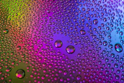 65e72597a9f492001e1bdf8b Sourcewater 65e72597a9f492001e1bdf8b Sourcewater