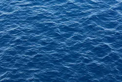 65e725cf1f04ab001e1d86f2 Waterconservation 65e725cf1f04ab001e1d86f2 Waterconservation