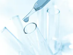 65e726d41f04ab001e1d884a Dreamstime Xxl 20324942 65e726d41f04ab001e1d884a Dreamstime Xxl 20324942