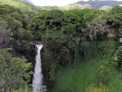 65e728851f04ab001e1d8a31 Hawaii 5 65e728851f04ab001e1d8a31 Hawaii 5