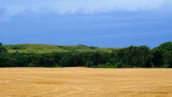 65e729861f04ab001e1d8b69 Kansaswater 65e729861f04ab001e1d8b69 Kansaswater