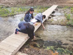 65e72dda1f04ab001e1d9061 Stem Academy 65e72dda1f04ab001e1d9061 Stem Academy