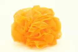 65e72ee6a9f492001e1bebe2 Dreamstime Xxl 9323313 65e72ee6a9f492001e1bebe2 Dreamstime Xxl 9323313