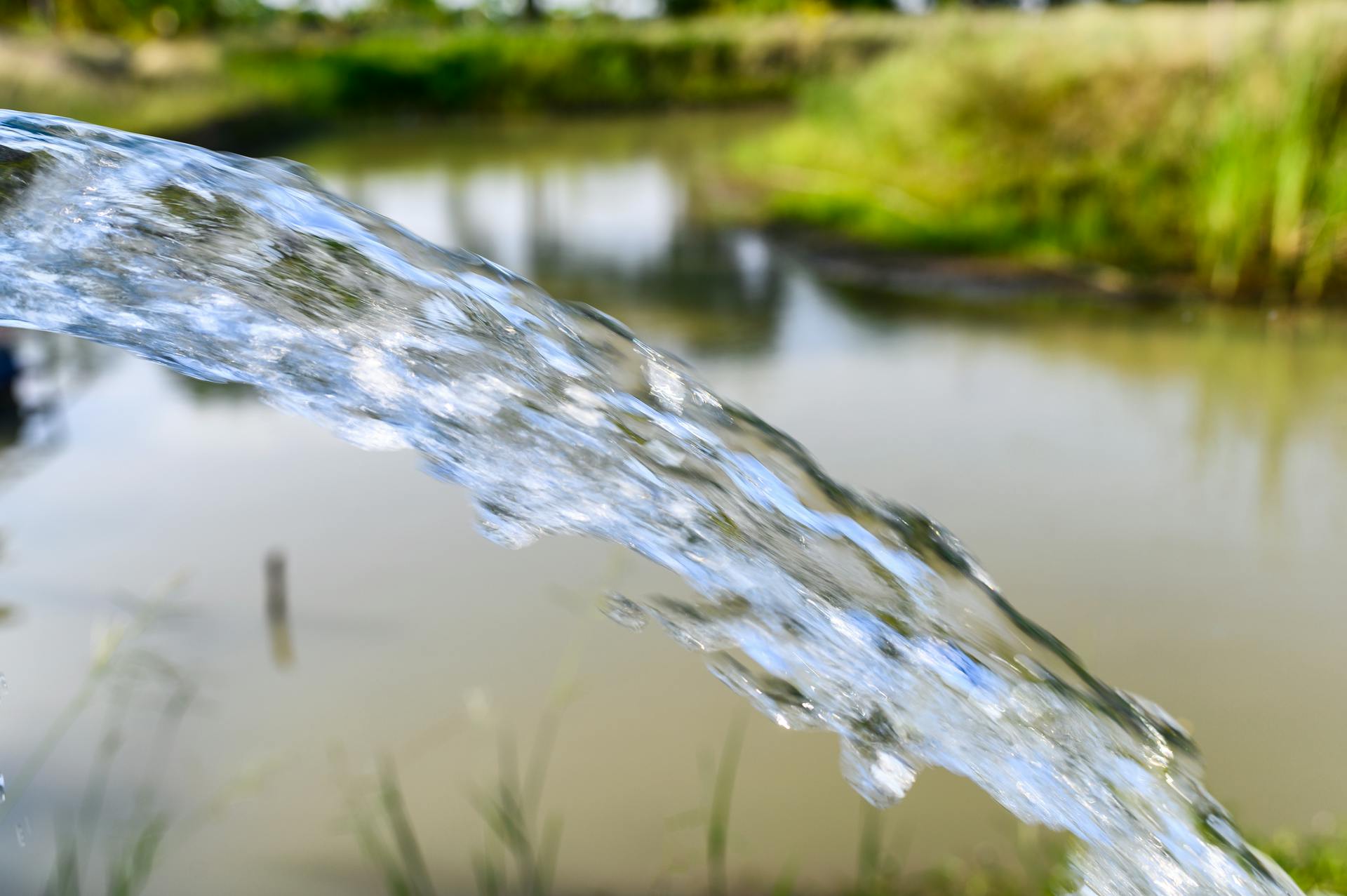 65e72fb7a9f492001e1bed1c Dreamstime Xxl 149106693 1