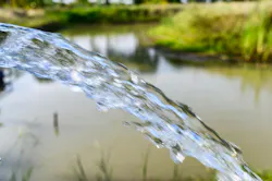 65e72fb7a9f492001e1bed1c Dreamstime Xxl 149106693 1 65e72fb7a9f492001e1bed1c Dreamstime Xxl 149106693 1