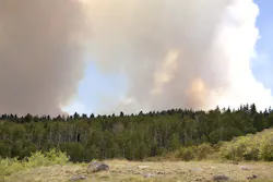 65e730841f04ab001e1d93dd Wildfire Colorado 65e730841f04ab001e1d93dd Wildfire Colorado