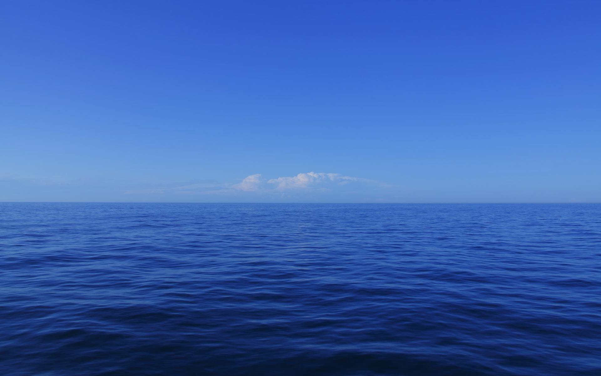 65e7313d1f04ab001e1d94d1 Dreamstime Xl 21051337