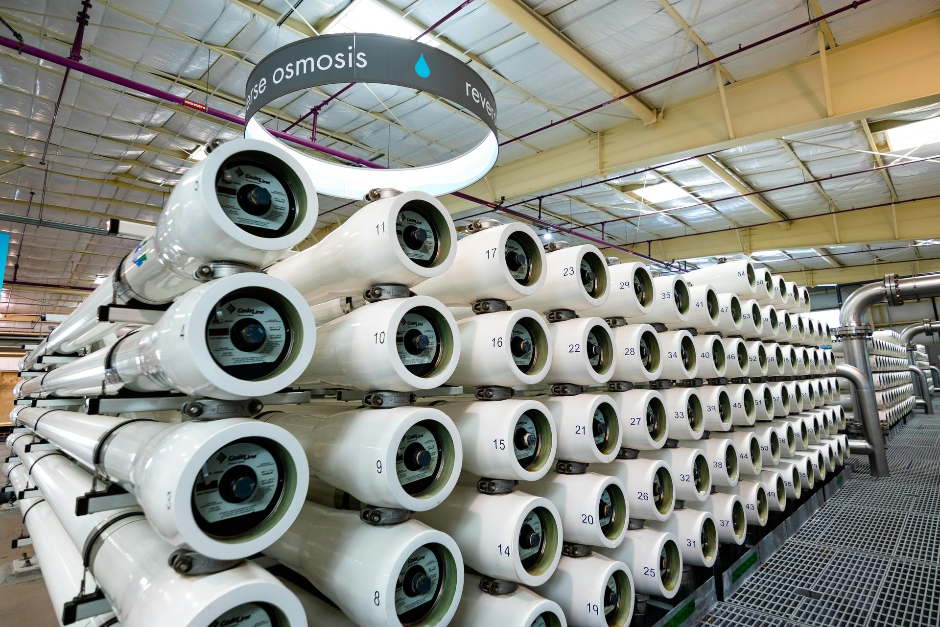 65e7316fa9f492001e1bef1e Dreamstime Xxl 151197225