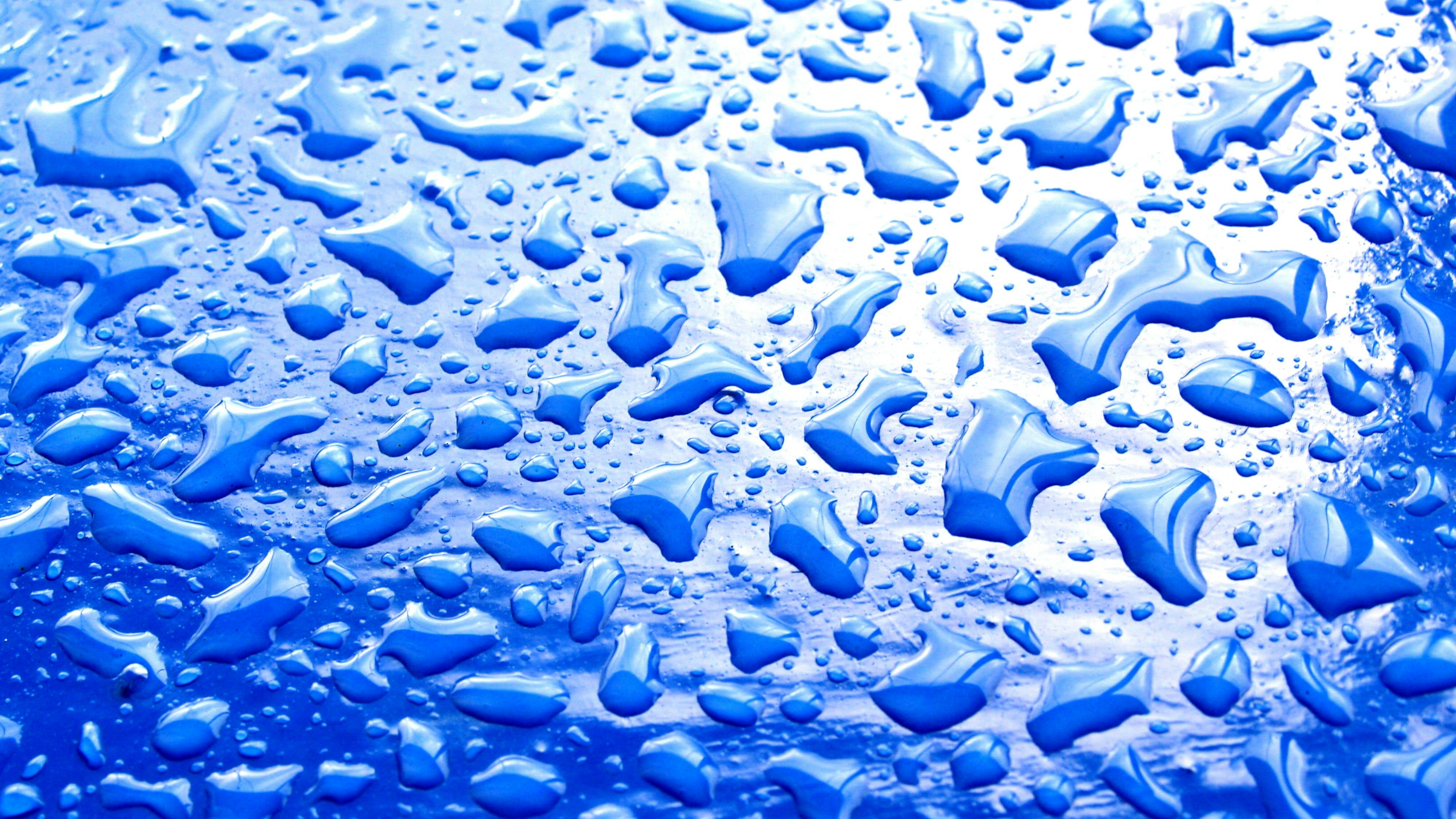 65e73265a9f492001e1bf06c 658d969c3c95ad001dbb1c52dreamstime Xxl 10945954