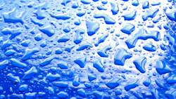 65e73265a9f492001e1bf06c 658d969c3c95ad001dbb1c52dreamstime Xxl 10945954 65e73265a9f492001e1bf06c 658d969c3c95ad001dbb1c52dreamstime Xxl 10945954