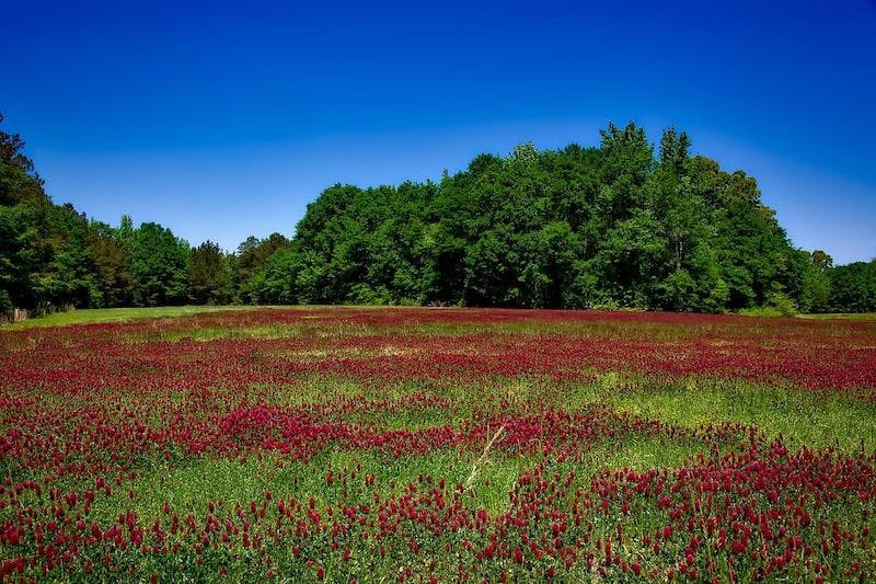 65e733d71f04ab001e1d9791 Alabamawater