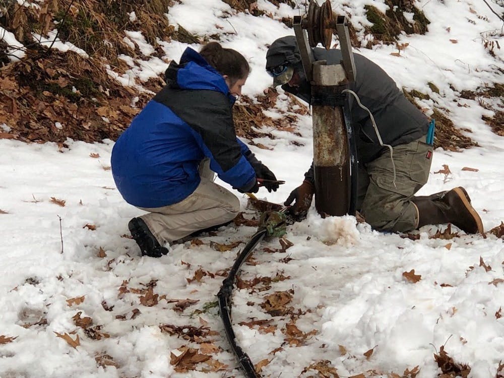 65e7342d1f04ab001e1d9828 Img 7417