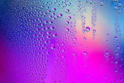 65e73522a9f492001e1bf403 Cleanwater 65e73522a9f492001e1bf403 Cleanwater