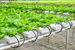 65e73b31a9f492001e1bf87c Grow Tables Copy 65e73b31a9f492001e1bf87c Grow Tables Copy