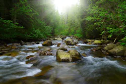 65e73ee31f04ab001e1da152 Adobestock 93903219 65e73ee31f04ab001e1da152 Adobestock 93903219