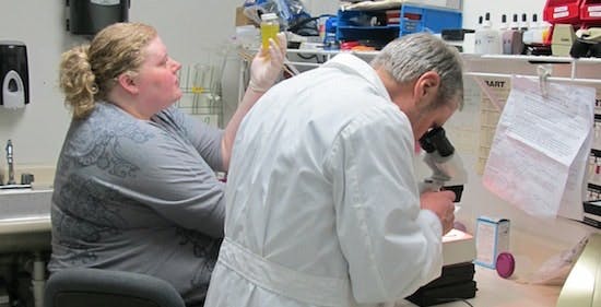 65e740c3a9f492001e1bfed5 00darcy Bill Lab Img 2779