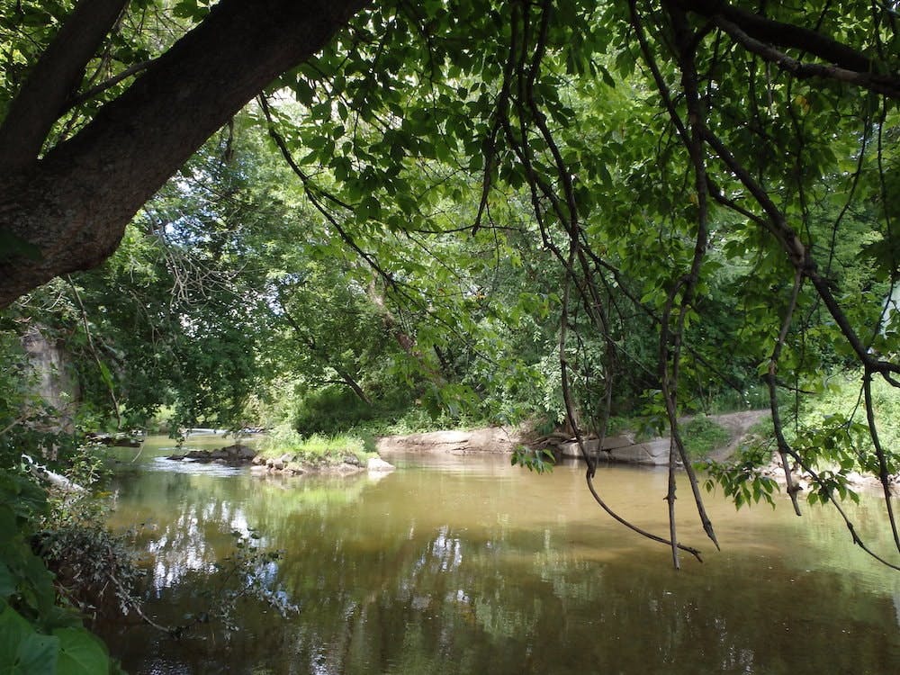 65e742c7a9f492001e1c00ff Spoelstra 1