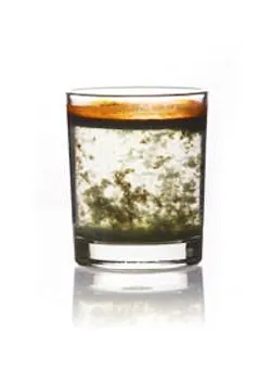 65e7436c1f04ab001e1da651 35512691 Xl 65e7436c1f04ab001e1da651 35512691 Xl