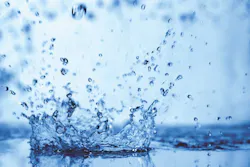 65e744701f04ab001e1da79c Topdealer Bg Copy 65e744701f04ab001e1da79c Topdealer Bg Copy