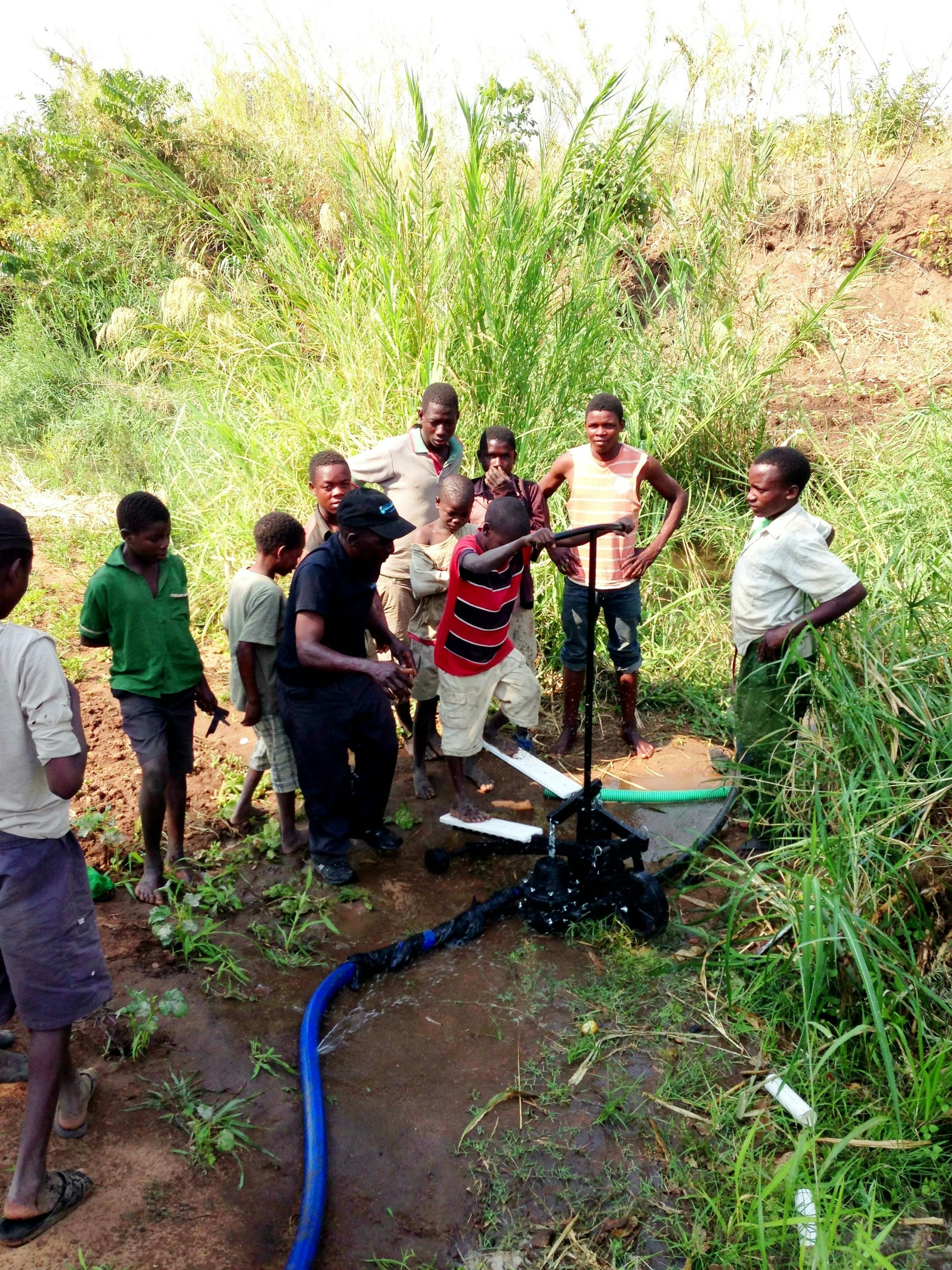 oct14_xylem_stepping_pump_1